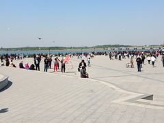 -丁香湖公园
