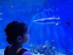 -太平洋海底世界