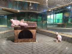 -荆州中山公园动物园