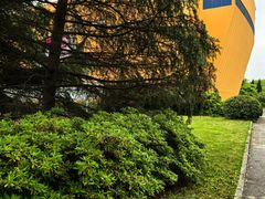 -东华大学(松江校区)