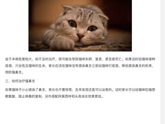 -美美宠物诊疗中心·异宠·骨科(滨江东信分院)