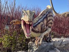 -北京野生动物园