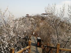 -大岭沟猕猴桃谷风景区