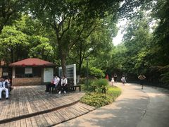 -昆山城市生态森林公园