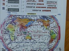 -赛可优图文广告·标书制作·门头招牌(天津总店)