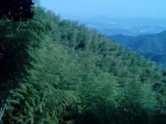 -径山寺