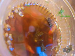 -胖子鱼·天水麻辣鱼火锅(秦州407店)