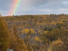 -莫尔道嘎国家森林公园