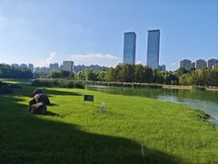 -滨湖塘西河公园