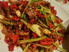 -天山醉美辣子鸡(文艺路店)