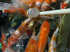 -太平洋海底世界