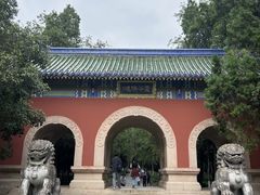 -灵谷景区