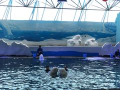 -秦皇岛乐岛海洋王国