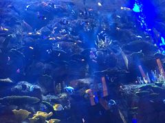 -迪拜帆船酒店
