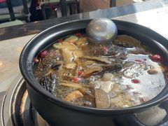 -蘑统田下·野生菌火锅