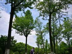 -太湖湖滨国家湿地公园-停车场