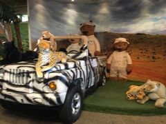 -济州岛泰迪熊博物馆