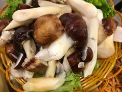 -菌海森林·非遗野生菌火锅(西山区滇池路摩根道店)