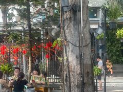 -网红落日悬崖餐厅 The Sky Gallery