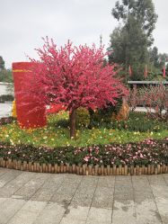 点击看大图 -云湖游乐园