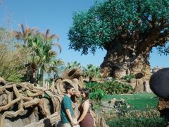 -奥兰多迪士尼动物王国乐园