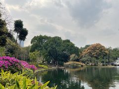 -晓港公园