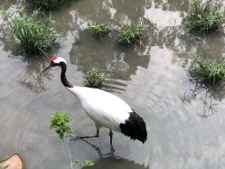 -福州儿童公园