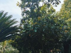 -故乡缘·香格里拉山庄(冷竹路店)