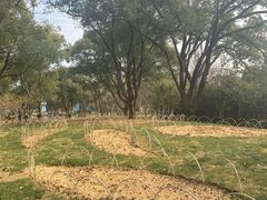 -无锡梅园公园