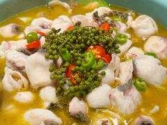 -重庆鸡公煲·青锅花椒鱼(宝山一店)