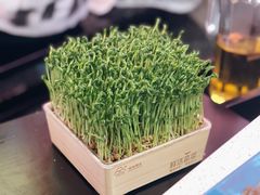 -蛙二爷美蛙火锅基地(温州总店)