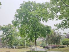 -沙河三洞古桥公园