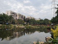 -光明港公园