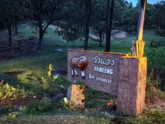 -清迈夜间动物园