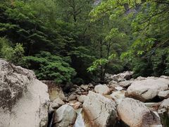 -青峰峡国家森林公园