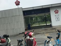 -岗子村(地铁站)