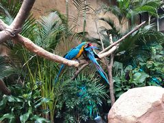 -杭州开元森泊度假乐园