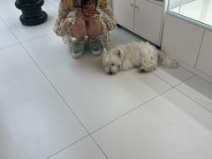 -上海电影博物馆