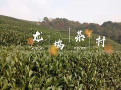 -龙坞茶村