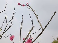 -常德桃花源景区