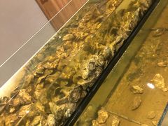 -Isla Sugbu Seafood City