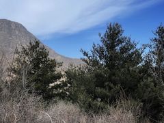 -阳台山自然风景区