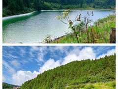 -武陵山森林公园