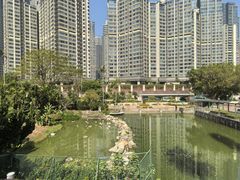 -石排湾郊野公园