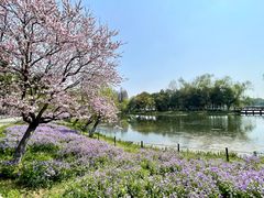 -尚湖风景区