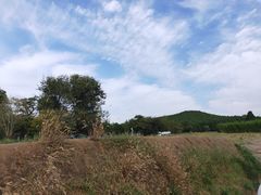 -秦始皇帝陵博物院-丽山园