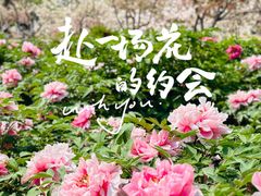 -济南国际园博园