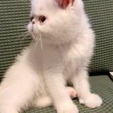 一不小心就长大了