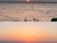 -苏州东太湖生态园