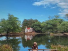 -上海共青森林公园